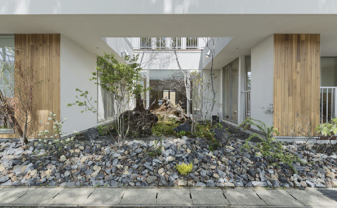 天竜の倒木と石、植物を配した中庭